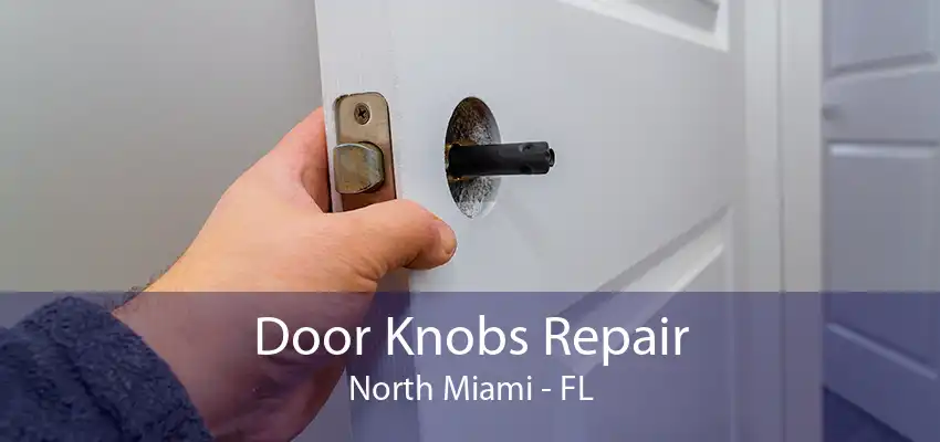 Door Knobs Repair North Miami - FL