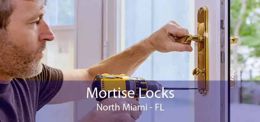 Mortise Locks North Miami - FL